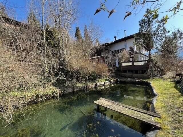 DHH mit 2- u. 4-Zi.-Whg., Bergsicht, Teich, Carp., Altstädten 7 zimmer