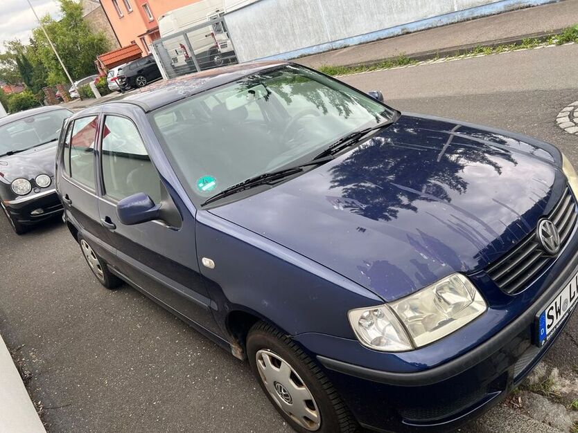 Polo