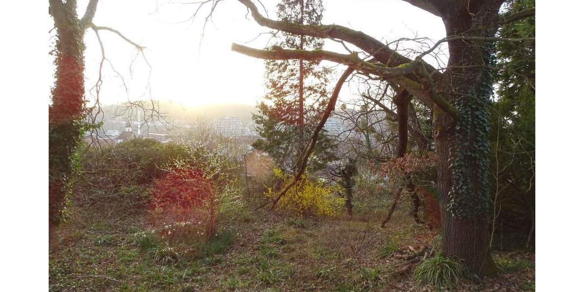 Grundstück Lörrach - 1 Zimmer, 1.600.000&euro; | Angebot:25337992