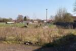 Grundstück Rehburg-Loccum Rehburg Rehburg - 65.000&euro; | Angebot:25845526