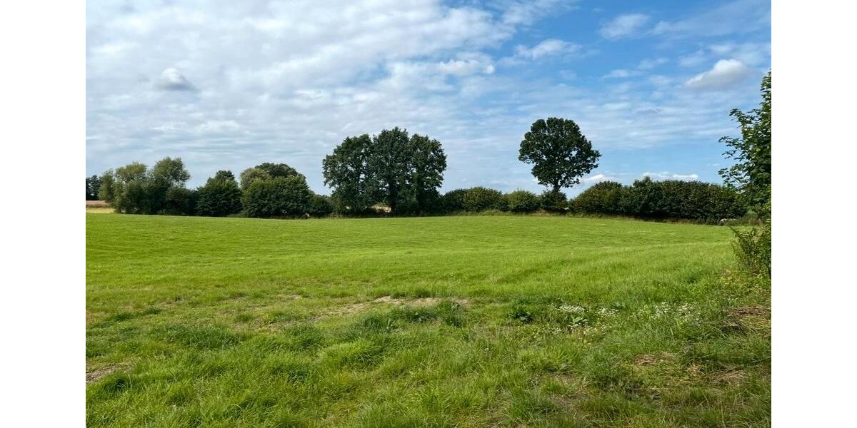 Bauernhaus, Landhaus Holzdorf - 2.5 Zimmer, 85 m&sup2;, 2.798&euro; | Angebot:25421072