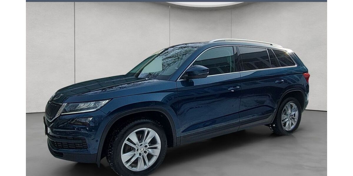 Skoda Kodiaq 110.100 km 22.980 &euro; Rendsburg 24768