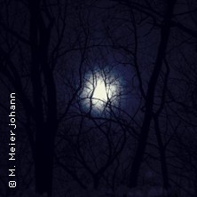 Nachtgesang - Ein Liederabend mit Michael Meierjohann 21.11.2025 KULTURAUSBESSERUNGSWERK