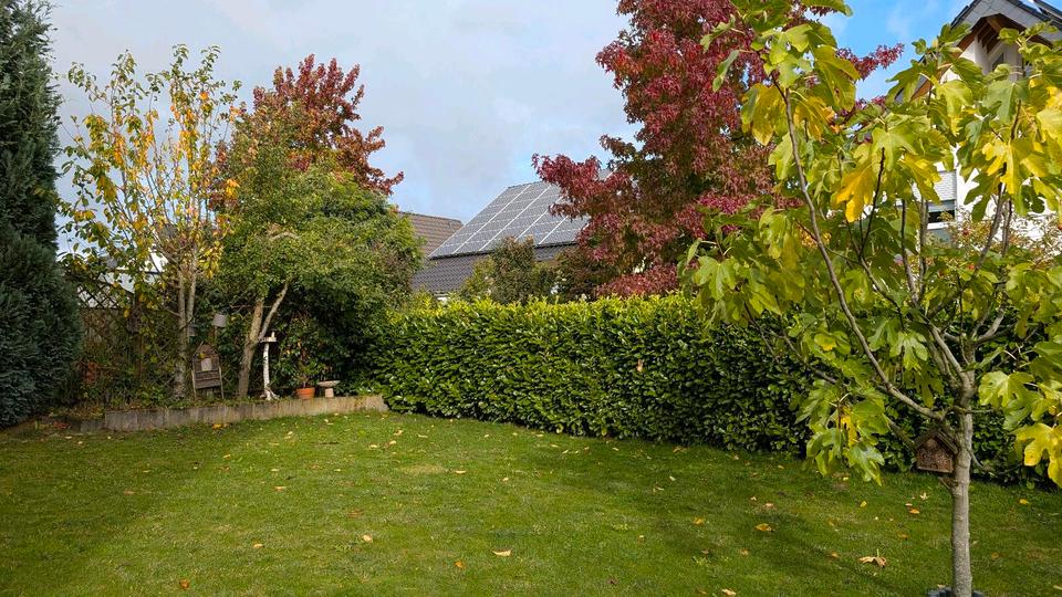 Einfamilienhaus Rommerskirchen - 7 Zimmer, 181 m&sup2;, 769.000&euro; | Angebot:25957057