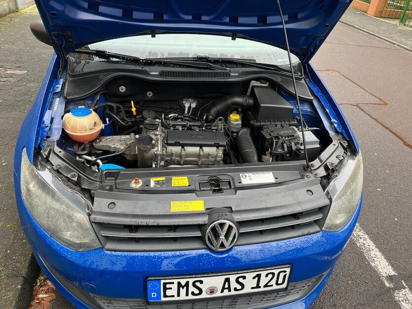 Polo