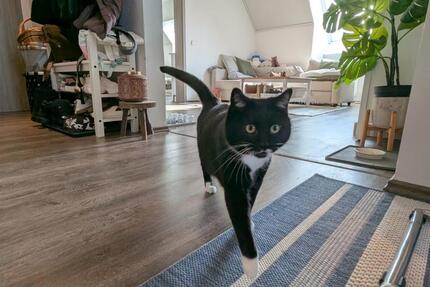 Wohnung Bodenwöhr - 3 Zimmer, 60 m&sup2;, 418&euro; | Angebot:25415192