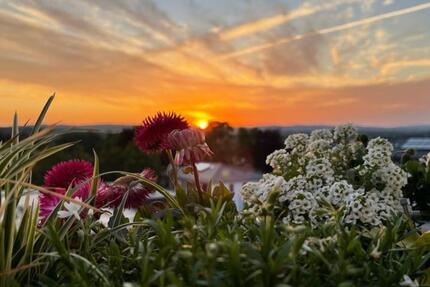 Haus Bovenden - 4 Zimmer, 101 m&sup2;, 595.000&euro; | Angebot:25480473