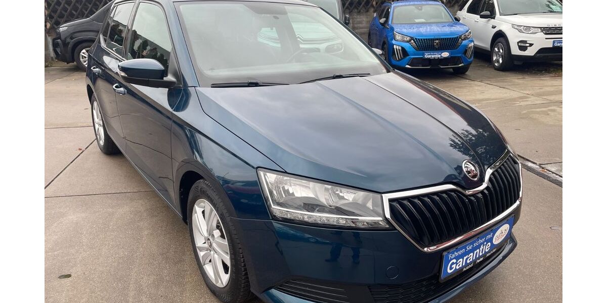 Skoda Fabia 85.000 km 11.999 € Neuhofen 67141