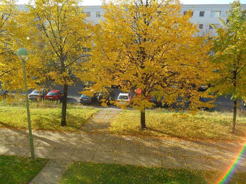 Wohnung zum Kaufen in Berlin-Kaulsdorf 159.000 € 64 m²