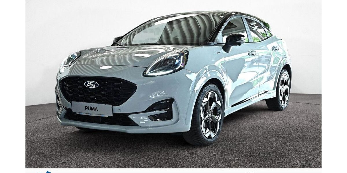 Ford Puma 5.693 km 27.990 &euro; Braunschweig 38114