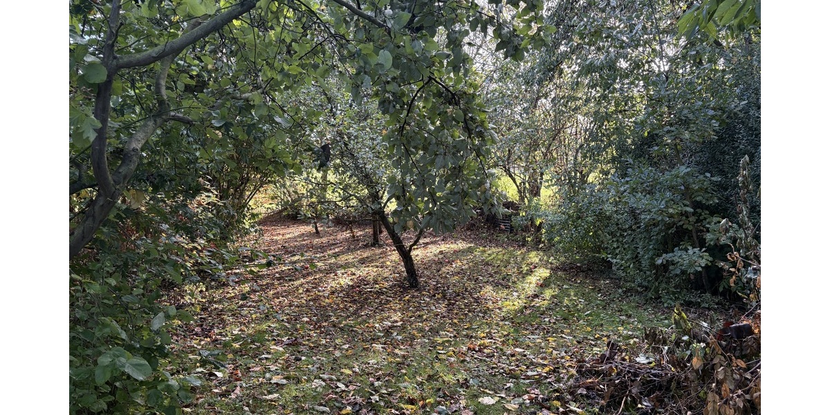 Gemütliche Eigentumswohnung mit Garage, Carport, Garten und herrlichem Blick ins Grüne in Bornhagen - Erdgeschoßwohnung Bornhagen | Angebot:24863855