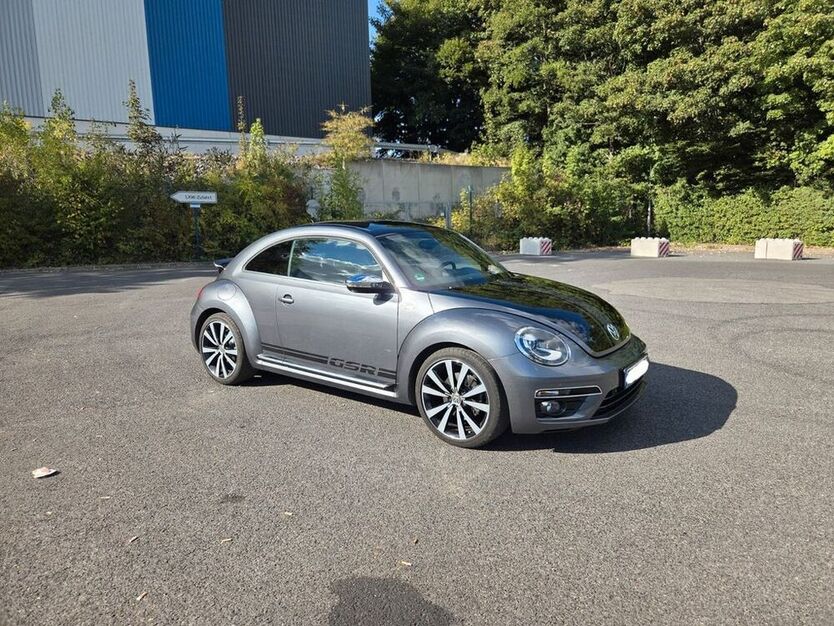 Beetle
