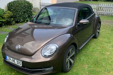 VW Beetle