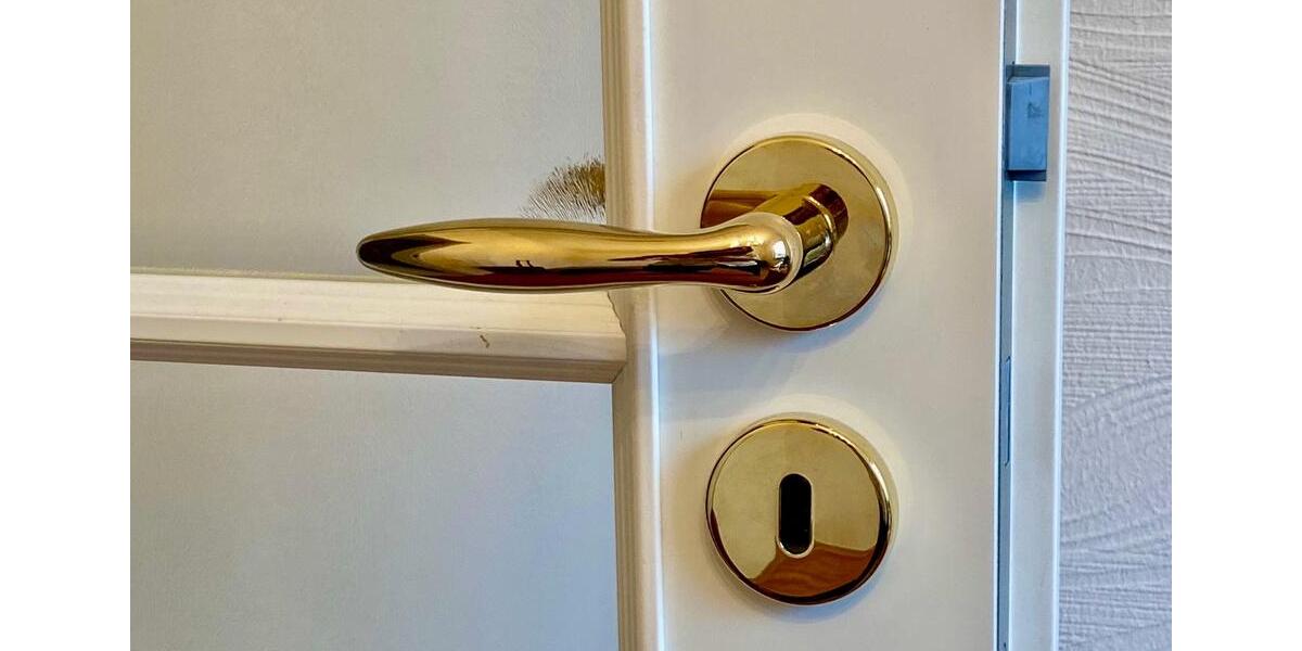 Etagenwohnung Hamburg Stellingen - 3 Zimmer, 76 m&sup2;, 420.000&euro; | Angebot:26324944