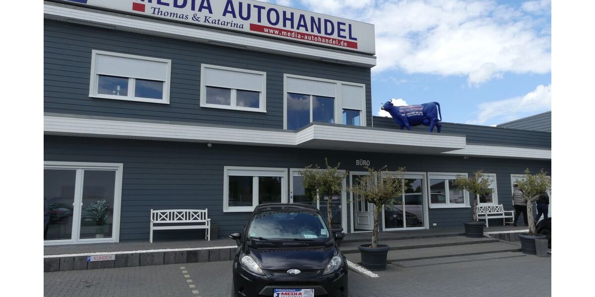 Ford Fiesta 139.000 km 4.500 &euro; Magdeburg 39108
