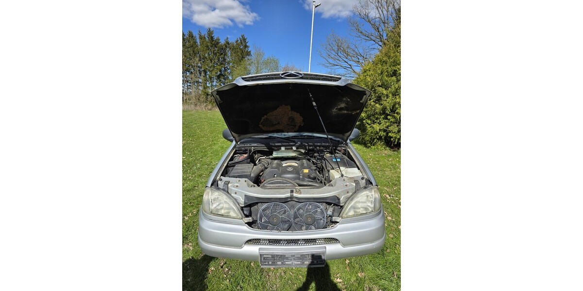 Mercedes-Benz ML 320 189.120 km 2.200 &euro; Bad Oldesloe 23843