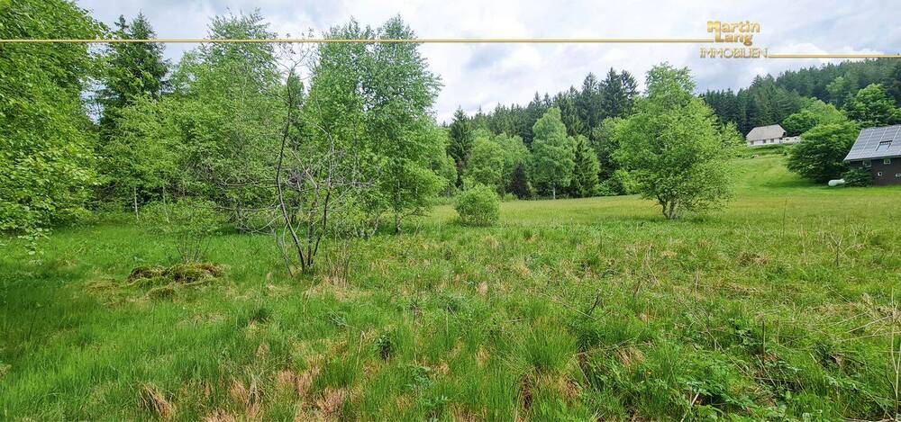 Mehrfamilienhaus, Wohnhaus Breitnau - 2 Zimmer, 352 m&sup2;, 499.000&euro; | Angebot:25776119