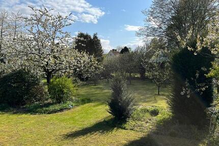 Grundstück Belm - 195.000&euro; | Angebot:10219624