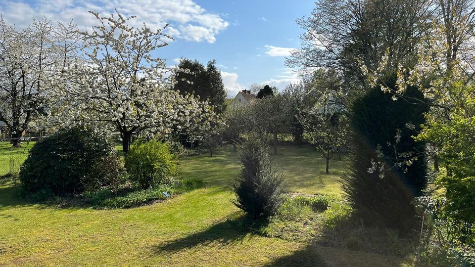 Grundstück Belm - 195.000&euro; | Angebot:10219624