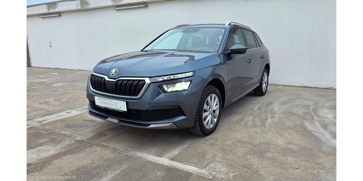 Skoda Kamiq 79.200 km 16.300 &euro; Braunschweig 38102