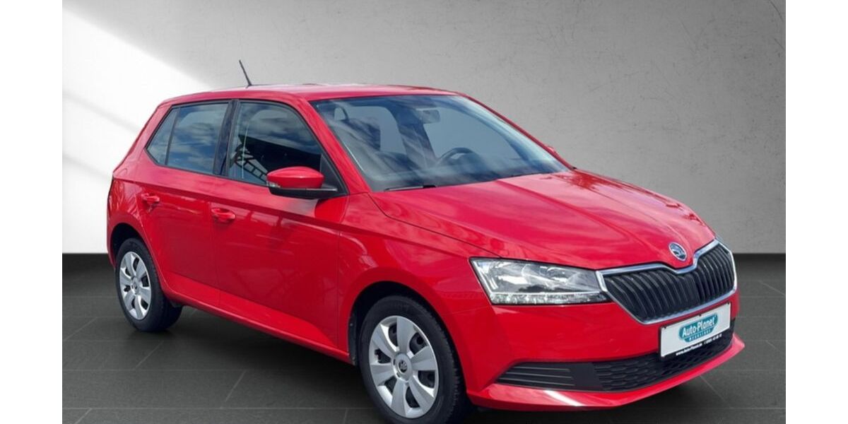 Skoda Fabia 131.271 km 7.990 &euro; Gera 07554