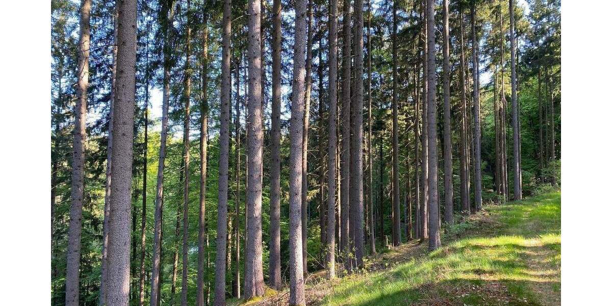 Grundstück Flossenbürg - 170.000&euro; | Angebot:26036735