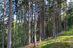 Grundstück Flossenbürg - 170.000&euro; | Angebot:26036735