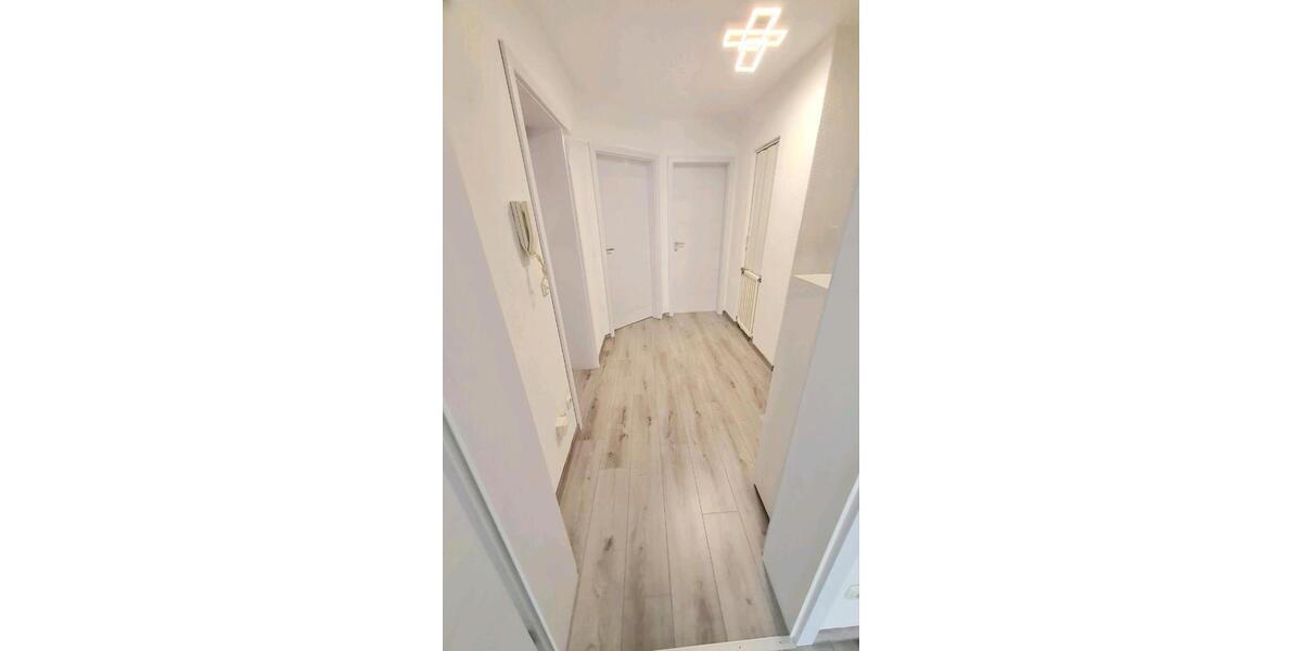 3 Zimmer Wohnung 3 zimmer