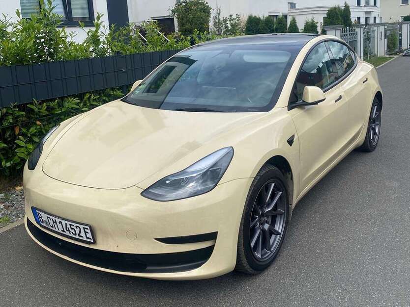 Model 3
