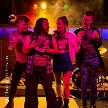 Dorfpunks Schleswig