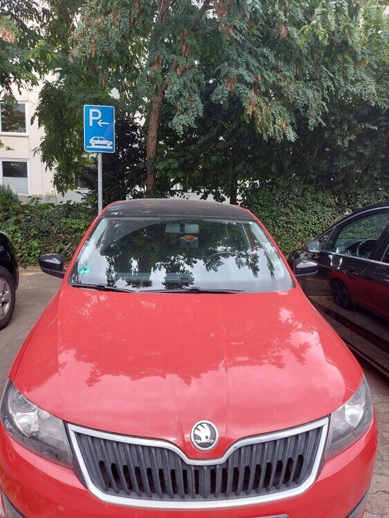 SKODA RAPID NH SPACEPACK