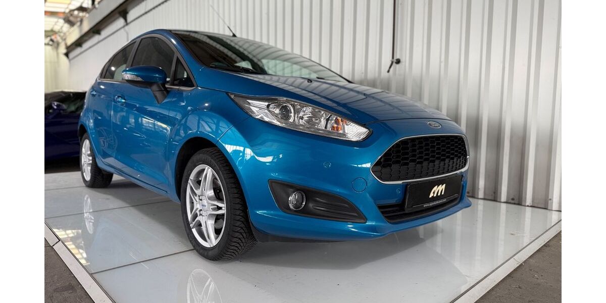 Ford Fiesta 109.900 km 8.690 &euro; Emmendingen 79312