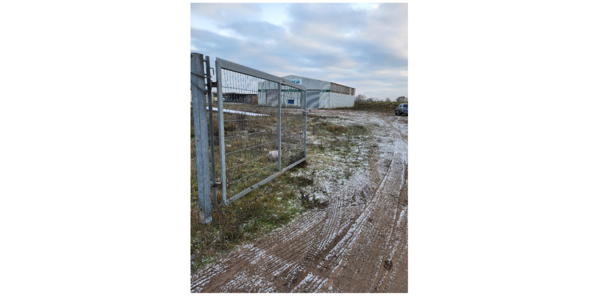 Gewerbeobjekt Seehausen (Altmark) - 800&euro; | Angebot:25126297