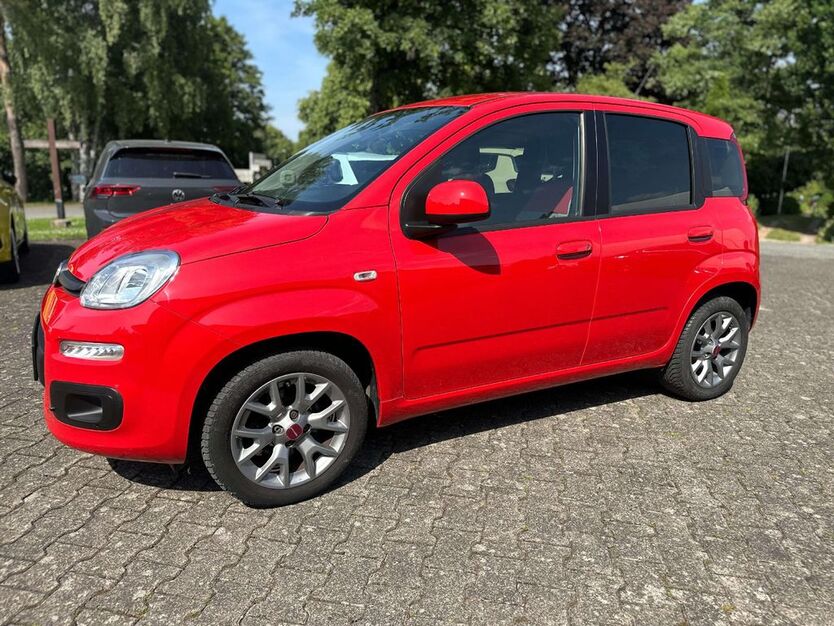 Panda