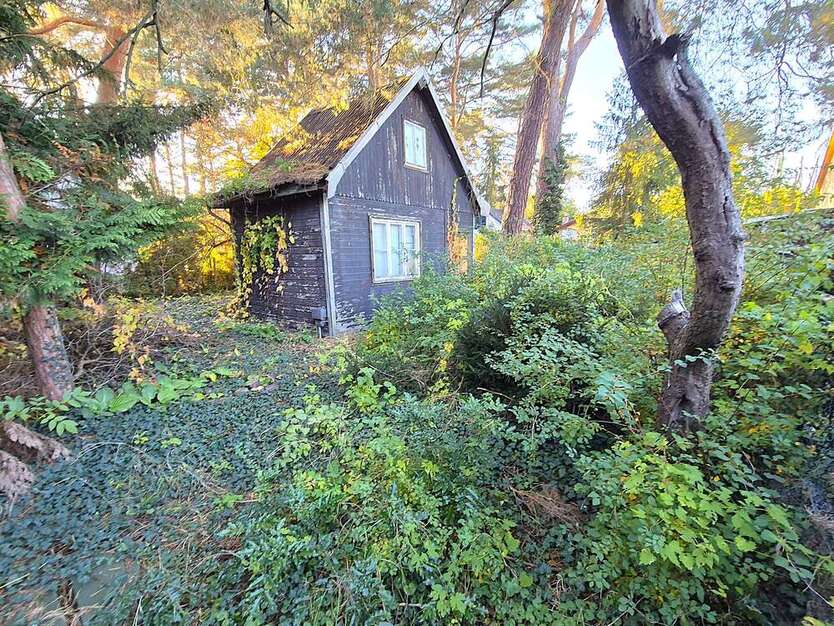 Grundstück zu verkaufen in Königs Wusterhausen OT Wernsdorf 98.500 € 254 m² zimmer