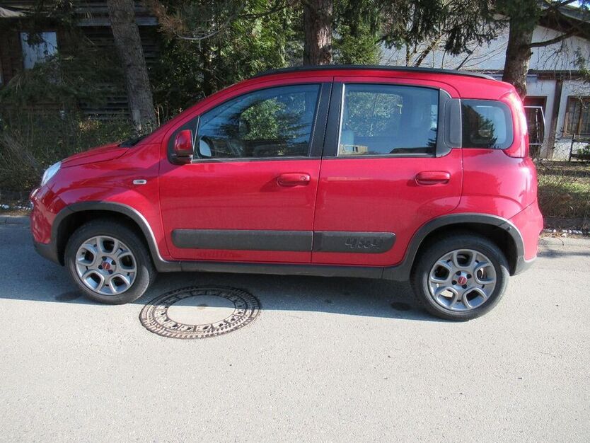 Panda