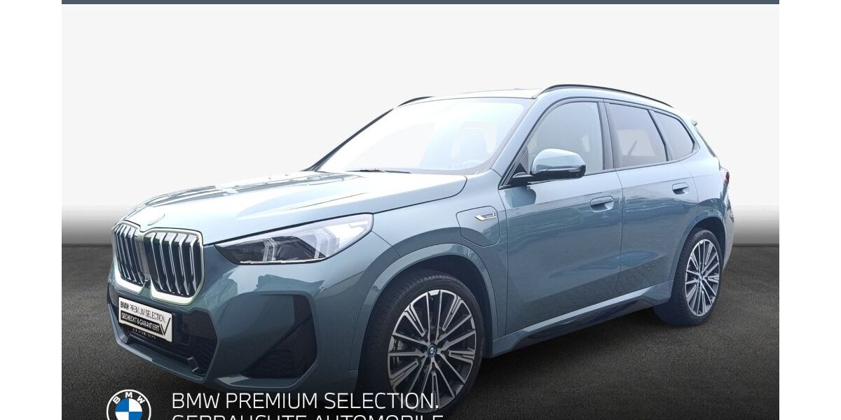 BMW X1 42.296 km 39.890 &euro; Landau 76829
