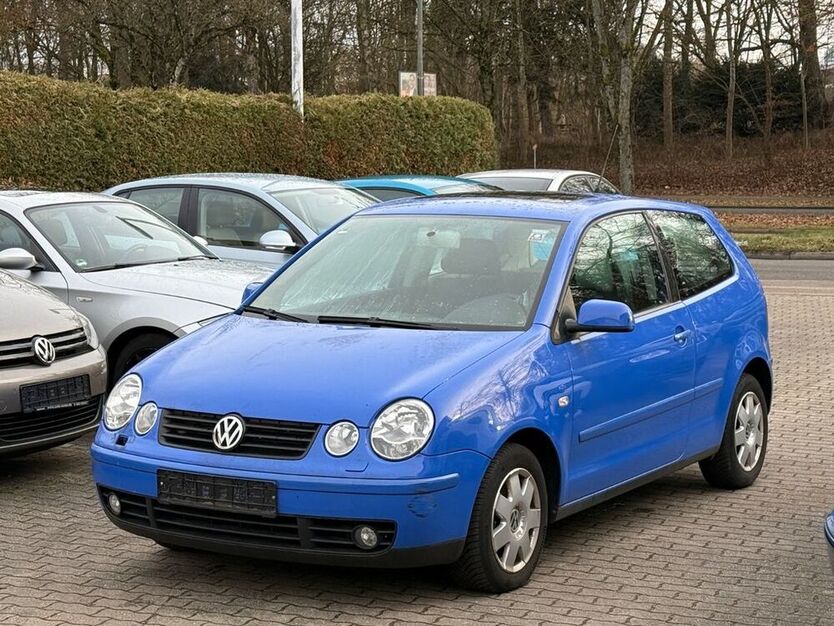 Polo
