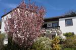 Einfamilienhaus Ködnitz Fölschnitz - 6 Zimmer, 189 m&sup2;, 329.500&euro; | Angebot:26434448
