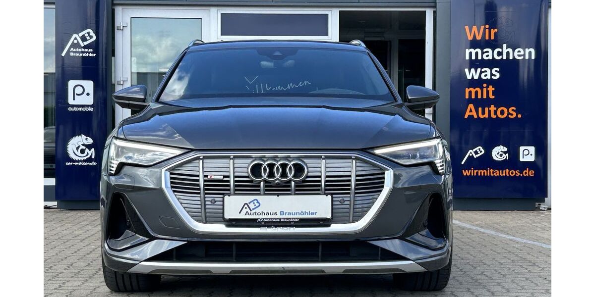 Audi e-tron 53.146 km 39.950 &euro; Salzgitter 38229