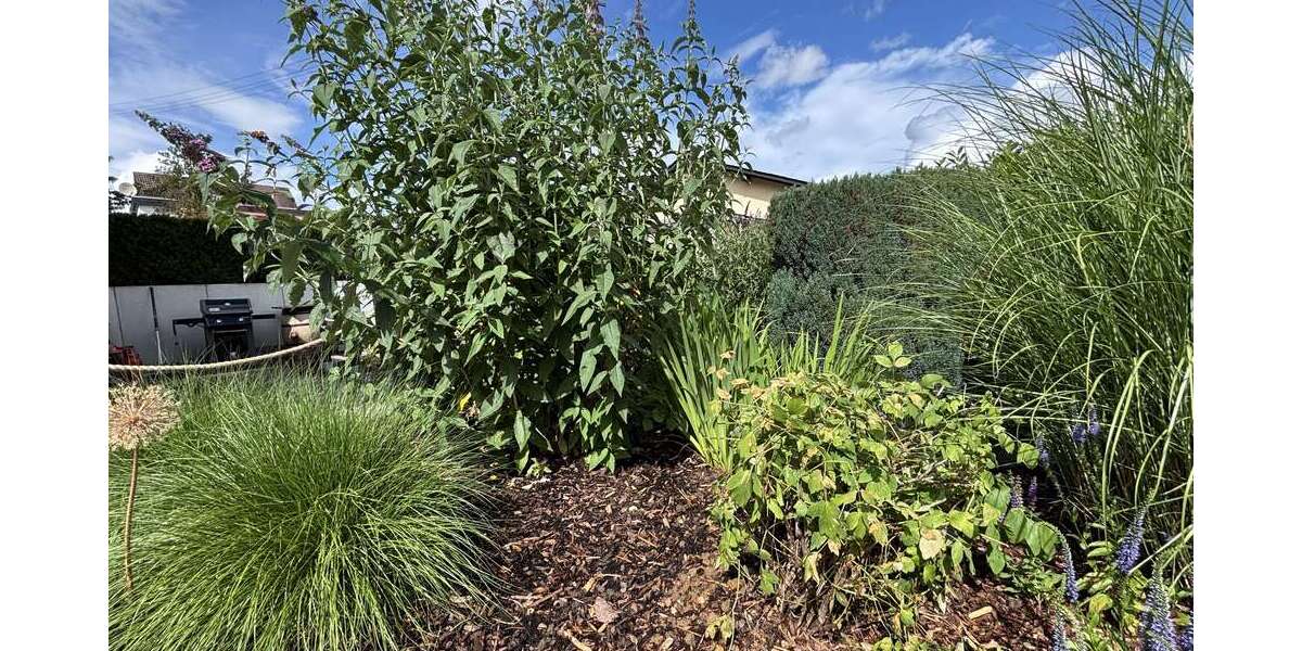 Einfamilienhaus Dehrn Dehrn - 4 Zimmer, 111 m&sup2;, 1.079&euro; | Angebot:21434506