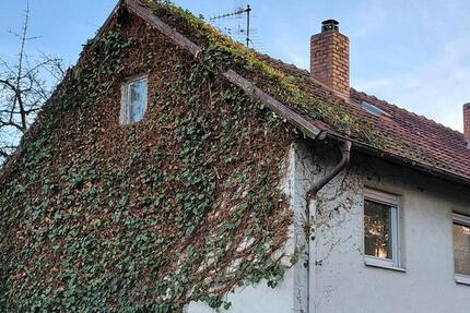 Haus Salzweg - 150.000&euro; | Angebot:26206650