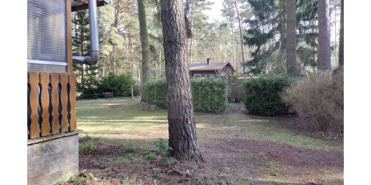 Grundstück Biesenthal Danewitz - 80.000&euro; | Angebot:26170994