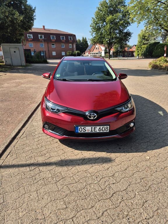 Auris