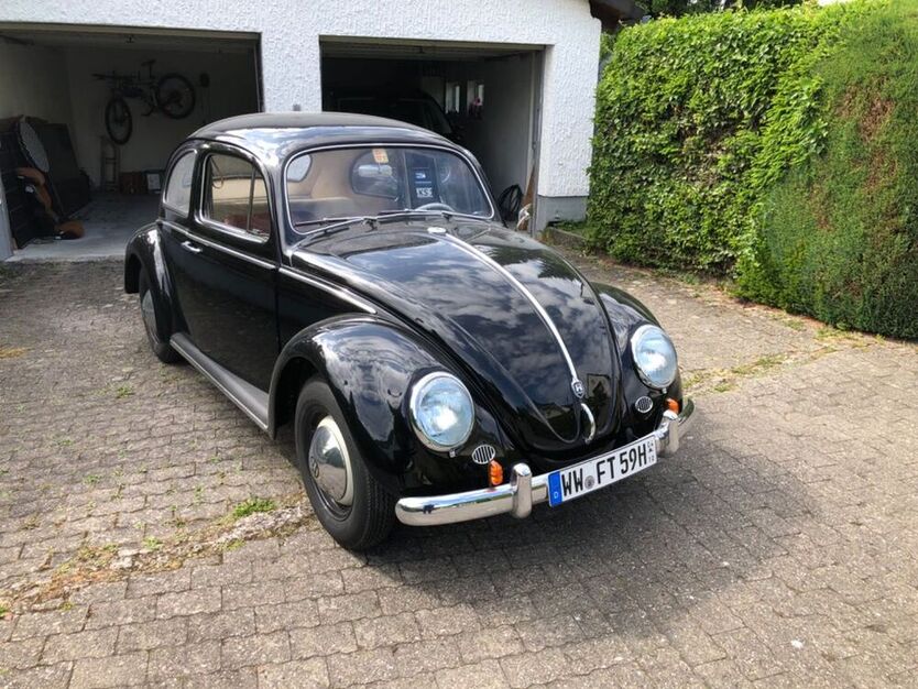 Käfer