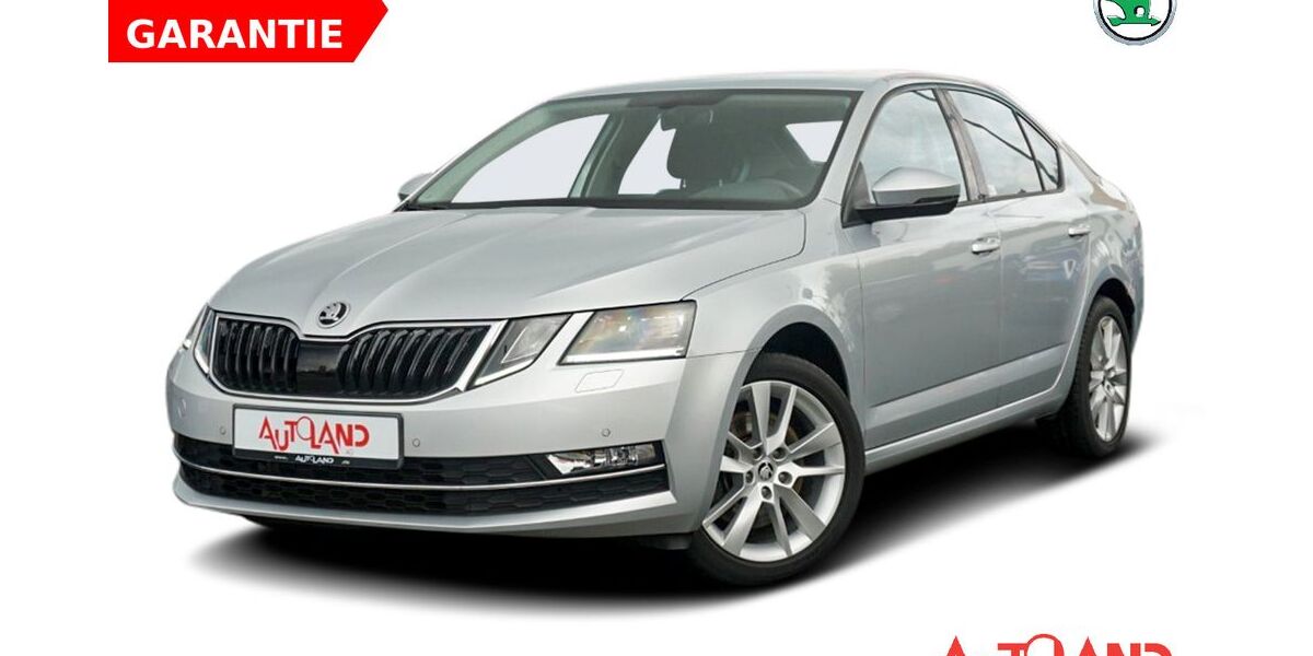 Skoda Octavia 66.869 km 18.990 &euro; Schwerin 19061