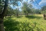Einfamilienhaus Am Ettersberg - 160.000&euro; | Angebot:27120304