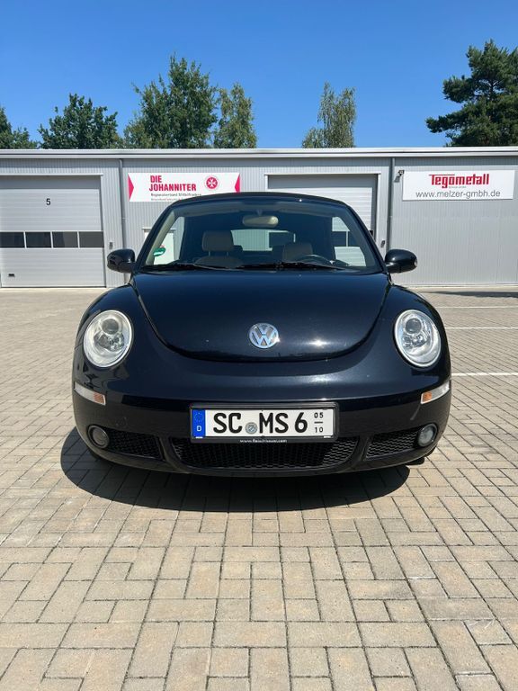 Beetle
