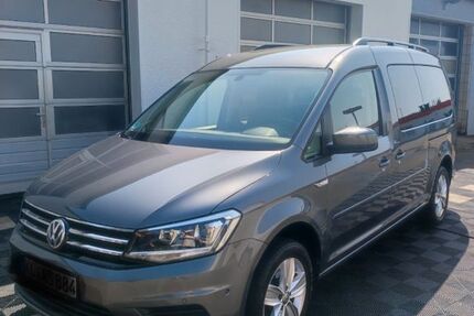 VW Caddy Maxi 81.000 km 23.450 &euro; Hochspeyer 67691