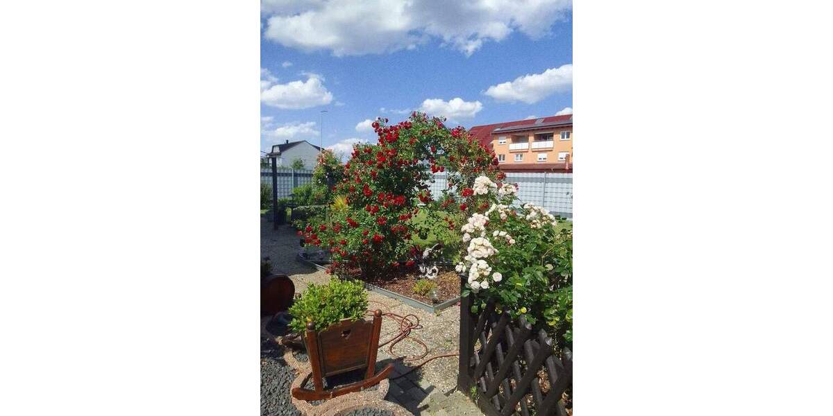 Mehrfamilienhaus, Wohnhaus Hambrücken - 1 Zimmer, 198 m&sup2;, 699.000&euro; | Angebot:24438854